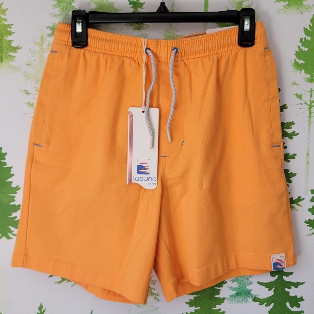 Laguna Stretch Shorts.